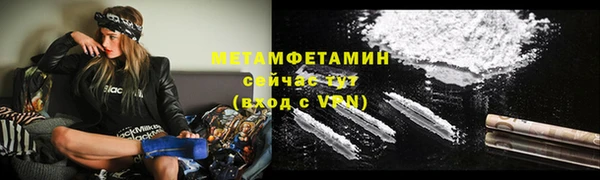 крисы Горняк