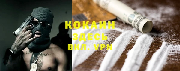 крисы Горняк