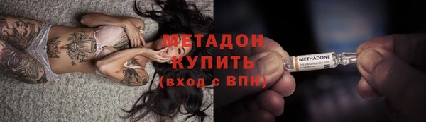 крисы Горняк