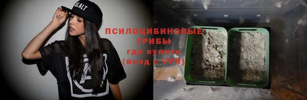 крисы Горняк