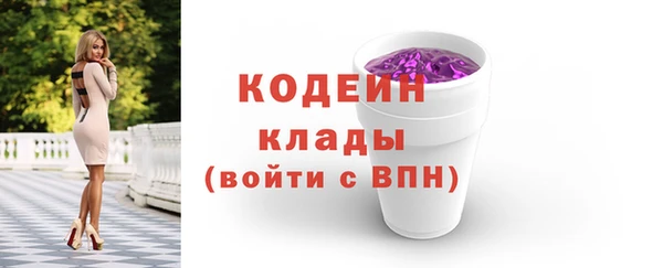 крисы Горняк