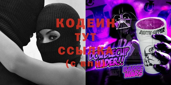 крисы Горняк
