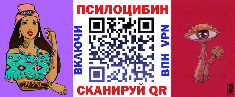 Купить где  Анжеро-Судженск  Псилоцибиновые грибы GOLDEN TEACHER 